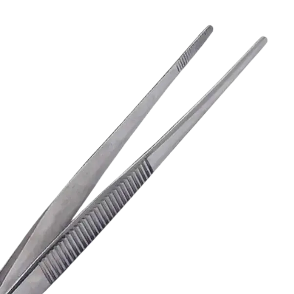 download - 2025-06-10T152112.466.webp