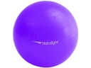 Bola de Exercicios Roxa 65CM Hidrolight FL13B
